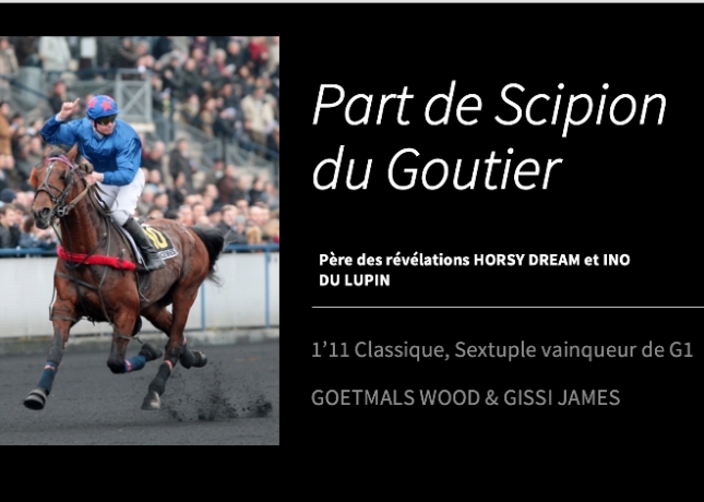 Parts-de-Scipion-du-goutier