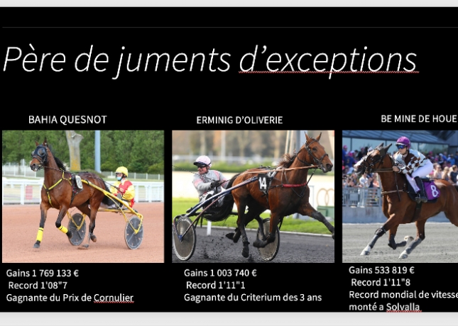 Parts-de-Scipion-du-goutier-1