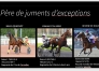 Parts-de-Scipion-du-goutier-1