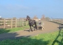 Pre-entrainement-trotteurs-dans-la-Manche-1