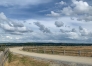 Pre-entrainement-trotteurs-dans-la-Manche-0