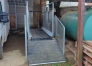 Tapis-roulant-HORSE-GYM-2000-DE-2