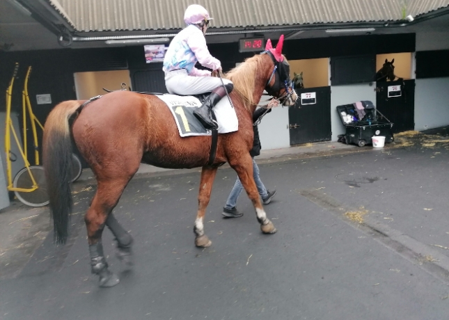 “I”-hongre-pere-quaker-jet-pret-a-courrir-3
