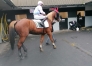 “I”-hongre-pere-quaker-jet-pret-a-courrir-3