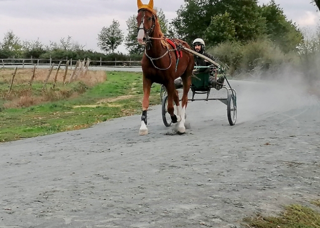 “I”-hongre-pere-quaker-jet-pret-a-courrir-1