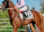“I”-hongre-pere-quaker-jet-pret-a-courrir-0