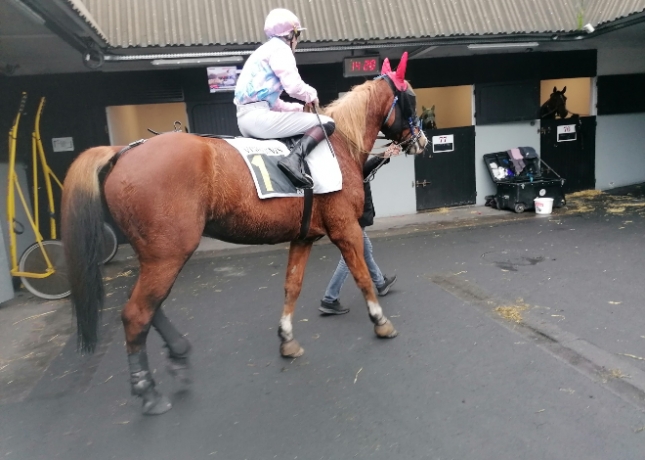 “I”-hongre-pere-quaker-jet-pret-a-courrir-4