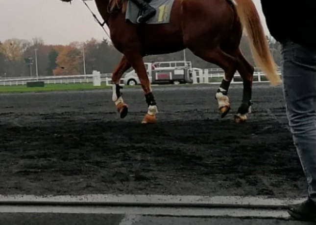 “I”-hongre-pere-quaker-jet-pret-a-courrir-2