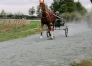 “I”-hongre-pere-quaker-jet-pret-a-courrir-1