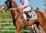 “I”-hongre-pere-quaker-jet-pret-a-courrir-0