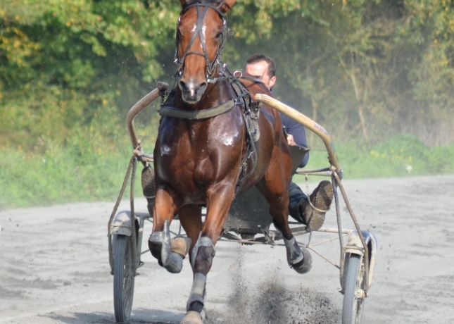 FRONSAC-DE-BOMO--67000€-de-gs--performant-en-2023--2