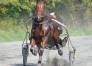 FRONSAC-DE-BOMO--67000€-de-gs--performant-en-2023--2