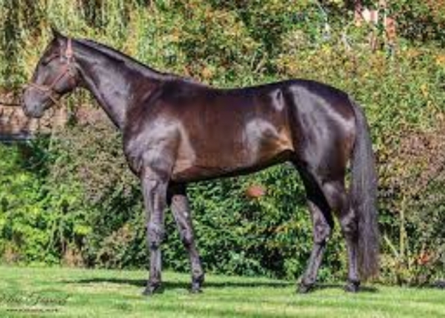 Echange-droit-de-saillie-2023