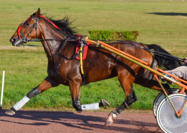 Cherche-L-a-reessayer