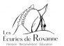 Ecurie-specialisee-RECHERCHE-trotteurs-0