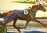 VENTE-SAILLIE-CLASSIC-WAY-0