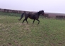 VALINETTE-aa -vendre-SEULE-ou-avec-SAILLIE-0