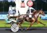 VDS-SAILLIE-GU-D-HERIPRE---GELATI-CUT--FREE-MAN---FALCAO-DE-LAURMA-1