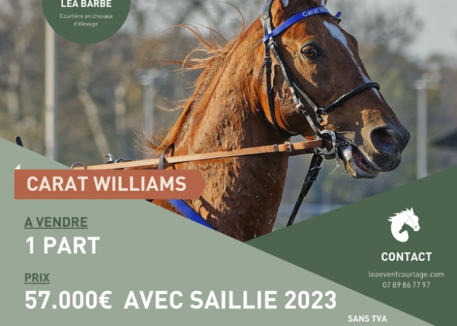 PART-AVEC-SAILLIE-2023--CARAT-WILLIAMS