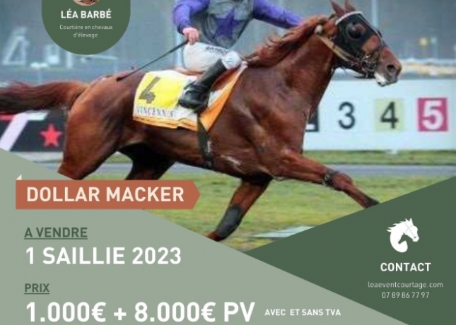 DOLLAR-MACKER-0