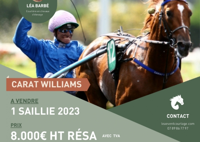 CARAT-WILLIAMS-0
