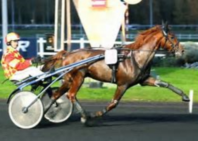 Vends-saillie(s)-de-BARJAL--60--de-qualifies-dans-les-