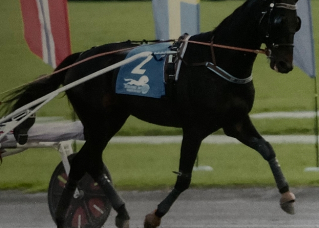 Saillie-Up-and-Quick