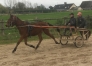 Debourrage--entrainement-1