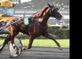 Vends-parts-etalon-ou-saillies-0