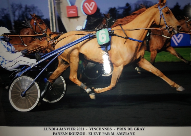 Vente-trotteur-8-ans-pret-a-courir-0