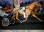 Vente-trotteur-8-ans-pret-a-courir-0