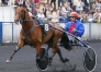 Cede-saillie-de-Password-contre-50--prime-a-l-eleveur-0