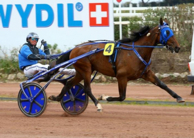 Saillie-TIMOKO-sans-tva