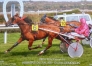 Niece-de-SAXO-DE-VANDEL-(vente-ou-option)-0
