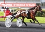 Arrangement-avec-DIABLO-DU-NOYER-0