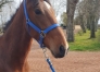 A-ceder-Litlle-Boy--Male-par-Prince-gede---Aluza-3