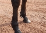 A-ceder-Litlle-Boy--Male-par-Prince-gede---Aluza-2
