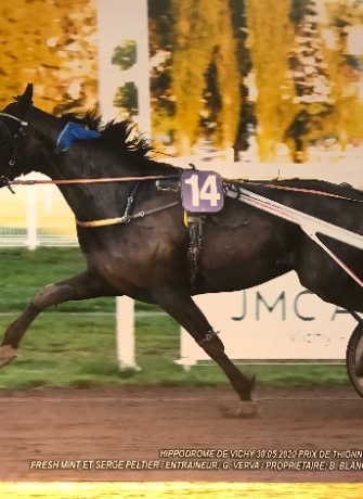 Vend-pouliniere