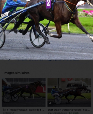 SAILLIE-DE-FASTISSIME-0