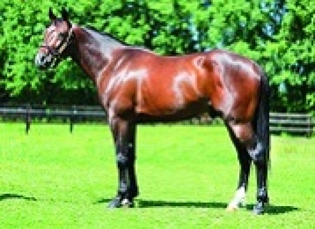 vends-saillie-BRILLANTISSIME-0