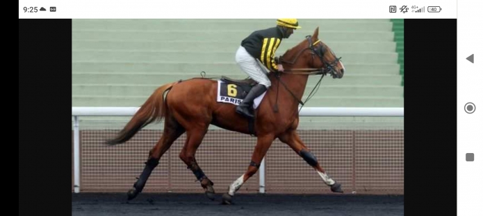 Saillies-Drole-de-gosse-(gazouillis)-0