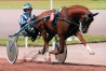 PART-ROC-MESLOIS-avec-saillie-23--Sans-TVA-0