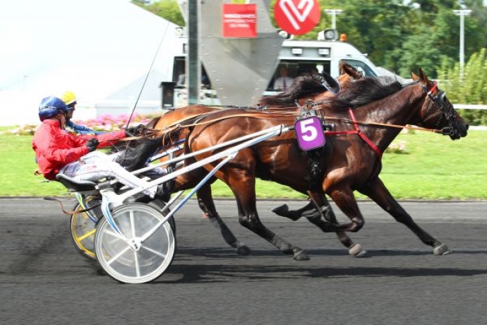 DIABLO-DU-NOYER-remisee-ou-arrangement-0
