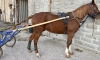 KHEOPS-DE-BONLIEU-0