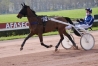 Entraineur-Publique-0