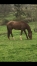 trotteur-3-ans-K-1