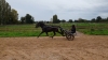 Kosto-de-touchyvon-0
