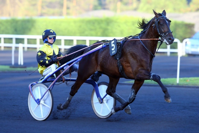Cede-saillie-2023-BRIAC-DARK-(Prince-Gede)-contre-50--de-la-prime-0