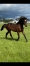 CEDE-MISTER-DE-LOULIE-1