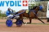 Saillie-TIMOKO-0